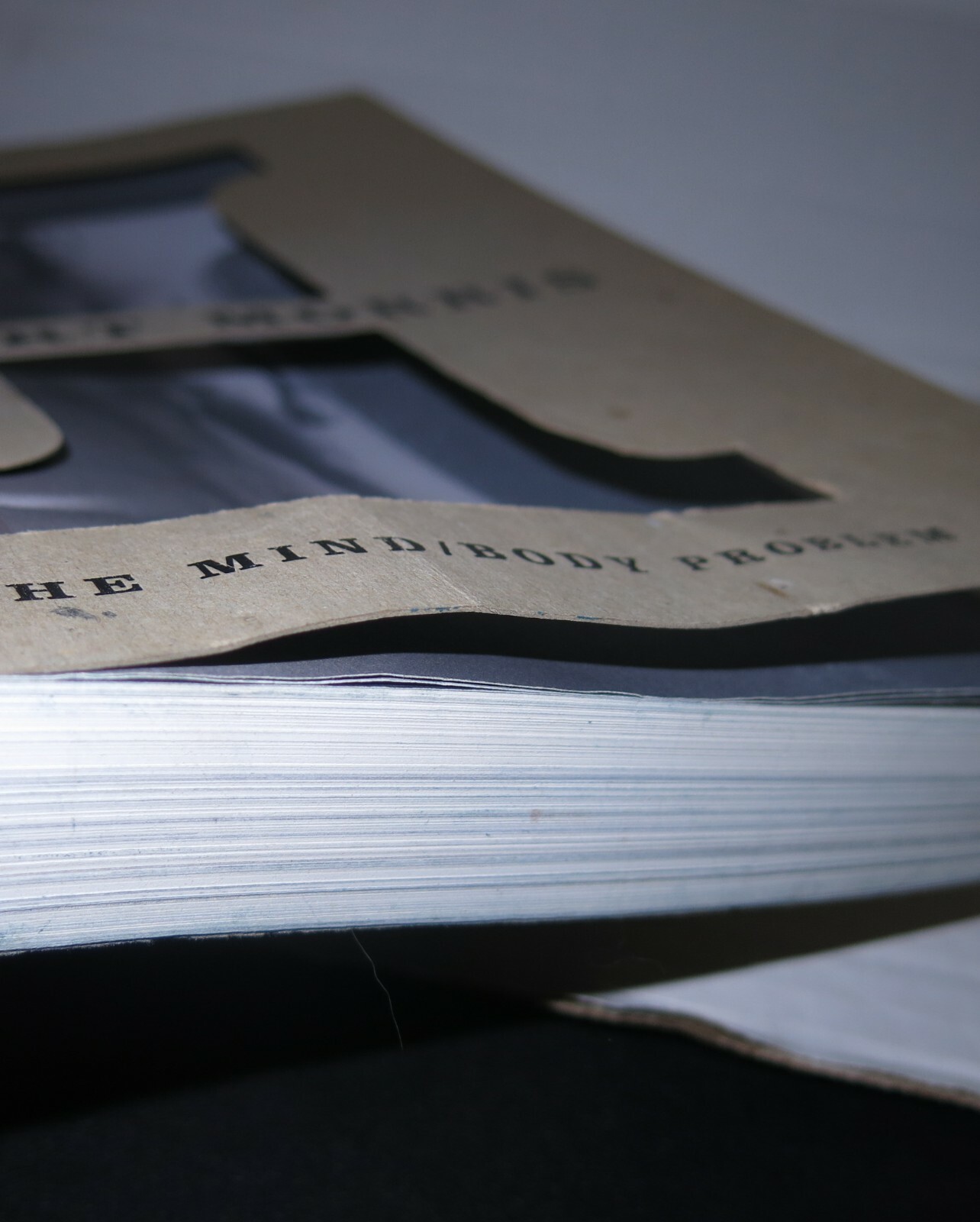 Robert Morris / The Mind Body Problem 1994 Process Art Die Cut Wraps