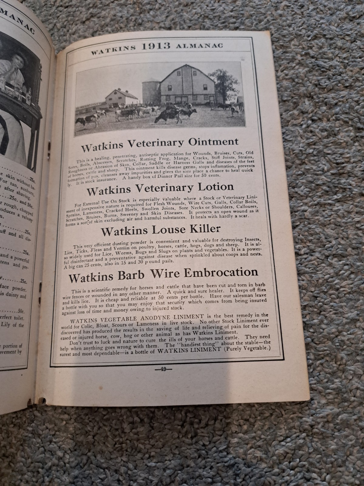 1913 Watkins Almanac Home Doctor & Cook Bok J. R. Watkins Medical Company