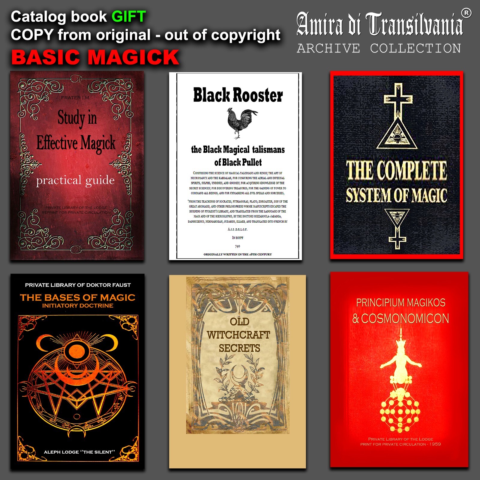 Forbidden Knowledge Evolution of Religion Philosophy Occult Book by Hidden Order