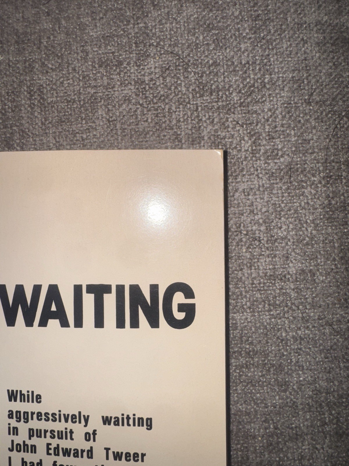 While Aggressively Waiting by Steven Boldt (1978) 1st Ed Ithaca Gay Liberation
