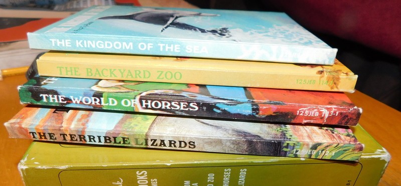 The Collection of Hallmark Animal Pop-Up-Books Four Volume Rare Printed in Japan