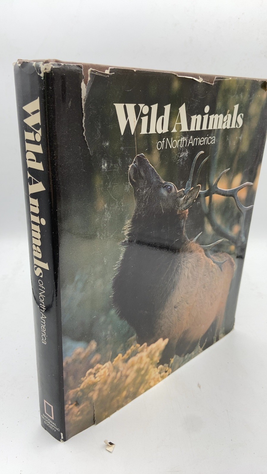 Wild Animals of North America Hardcover Revised Edition 1987