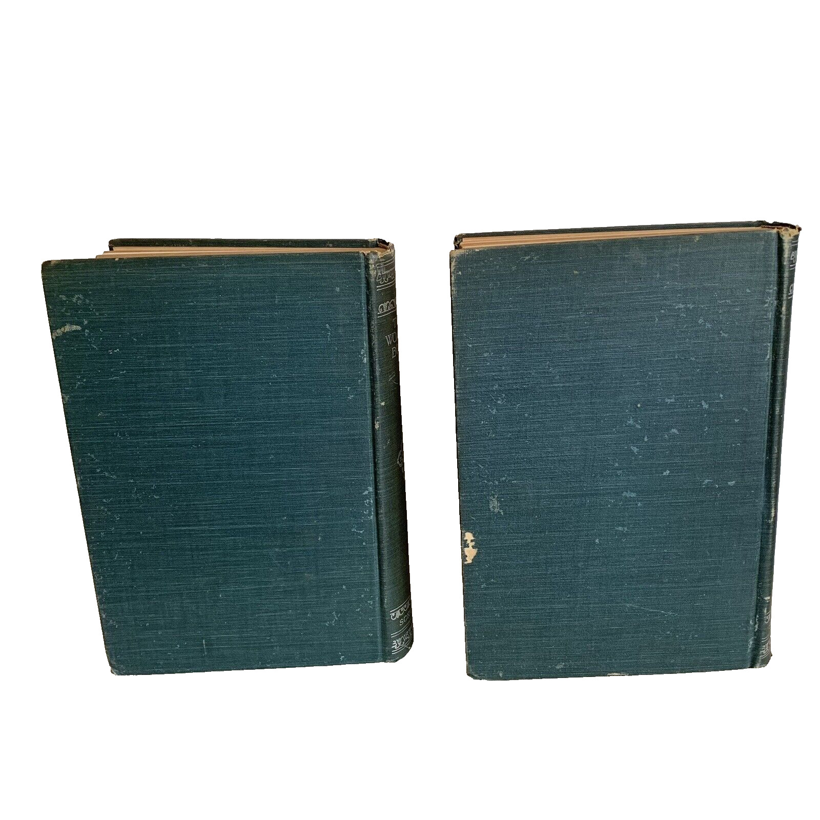 The Woman’s Book Advice Instruction Volumes 1 and 2 Scribners 1894 Americana