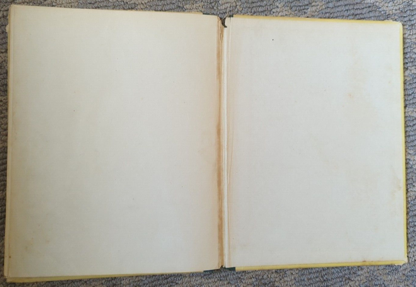 A Lion For Patsy 1947 Miriam Mason Illus. Vera Neville