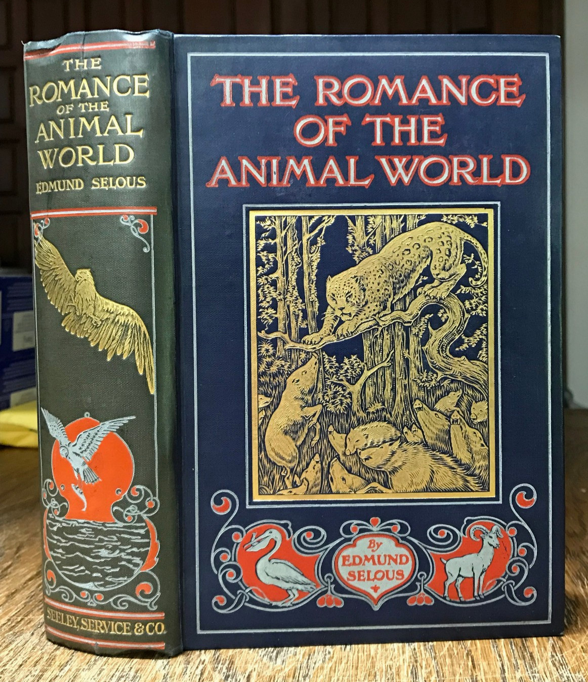 1911 The Romance Of The Animal World, Illustrated Outdoor Nature Wildlife Selous
