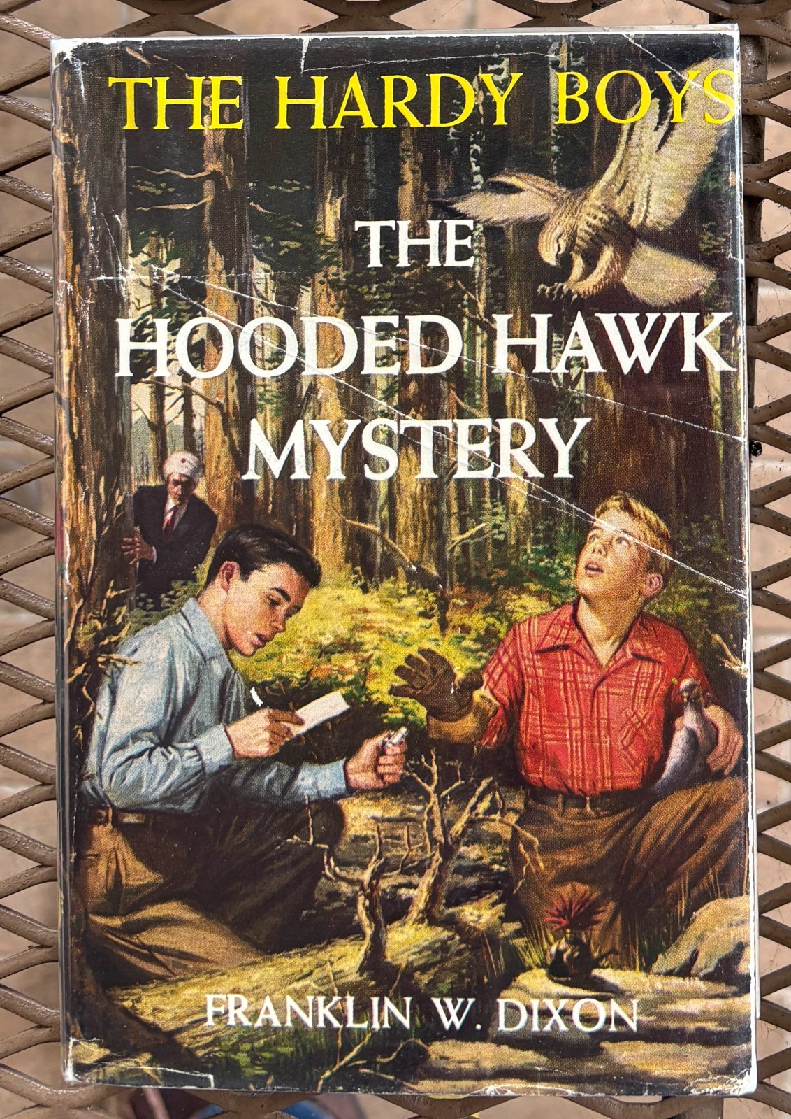 Hardy Boys #34 The Hooded Hawk Mystery Franklin W. Dixon w/ DJ 1954