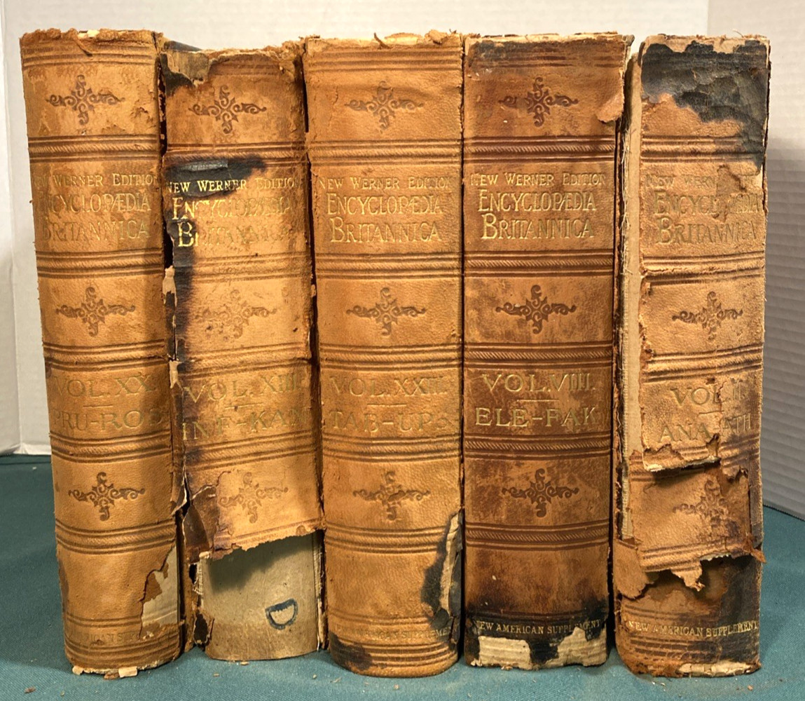 Lot of 8 Books ~ 11” Leather Bound Set DECOR VINTAGE SET ANTIQUE ~ Shabby Chic