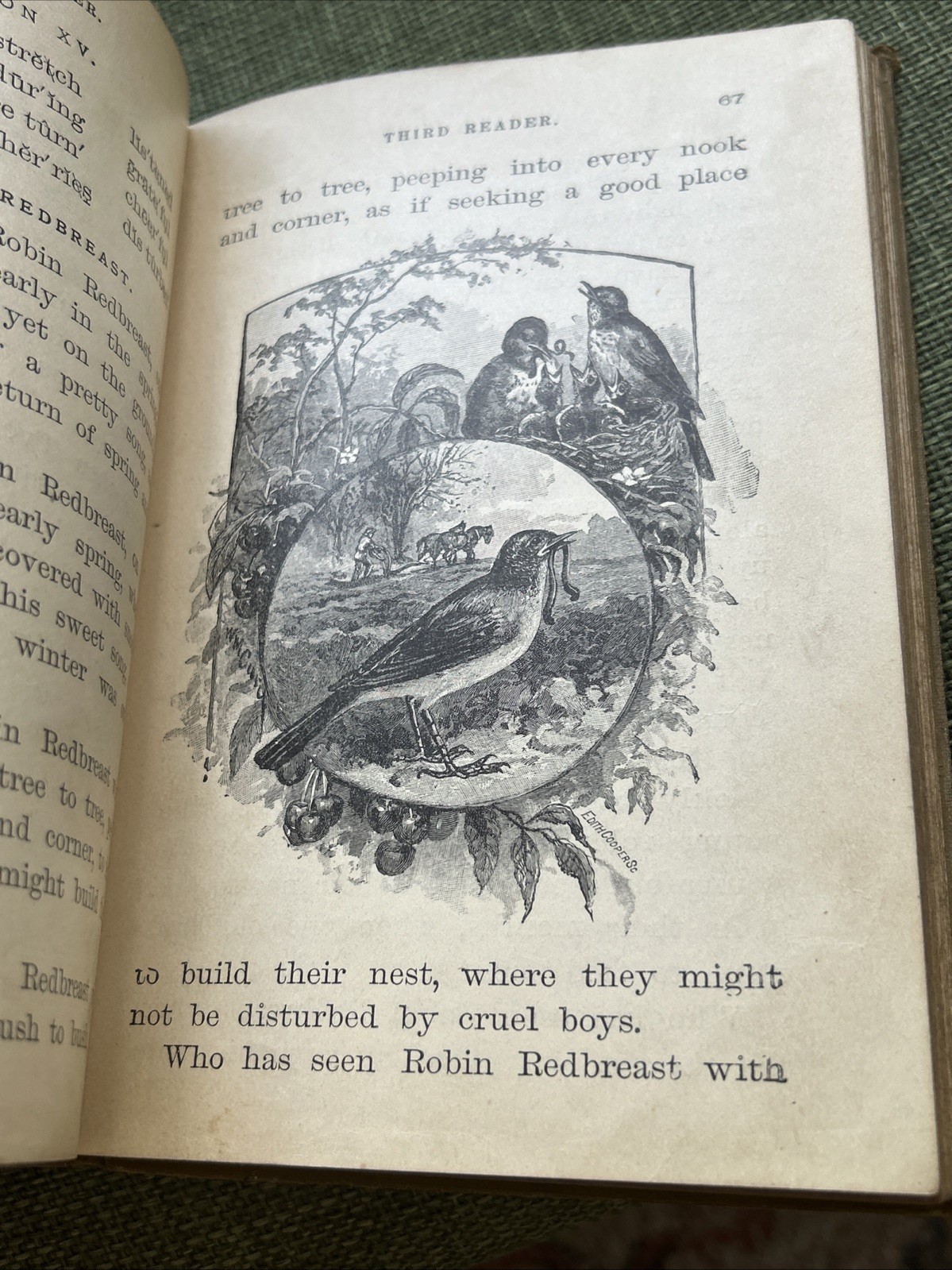 BARNE’S NEW NATIONAL READER – THIRD READER – VINTAGE HARDBACK BOOK!