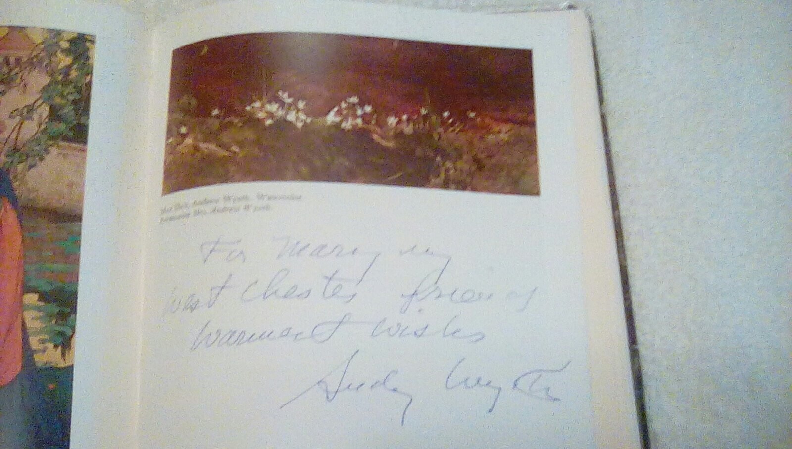 The Brandywine Tradition Signed by Andrew Wyeth Henriette Wyeth Hurd 7 Others