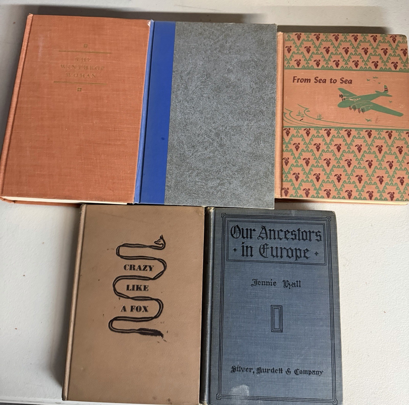 Lot of 5 Misc Books Blue Brown Red Decor Staging Display Antique Old Vintage