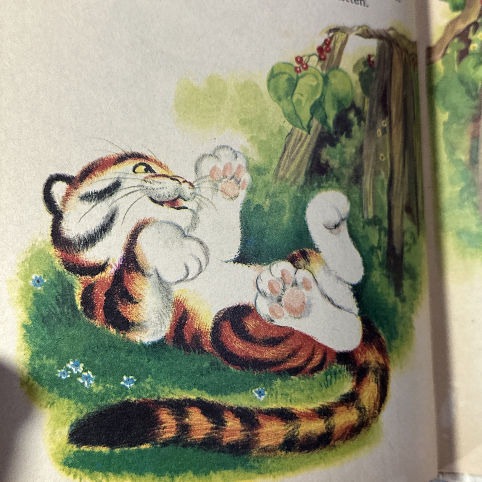 Timothy, Tiger By Marjorie Barrows Vintage Children’s Storybook First Edition