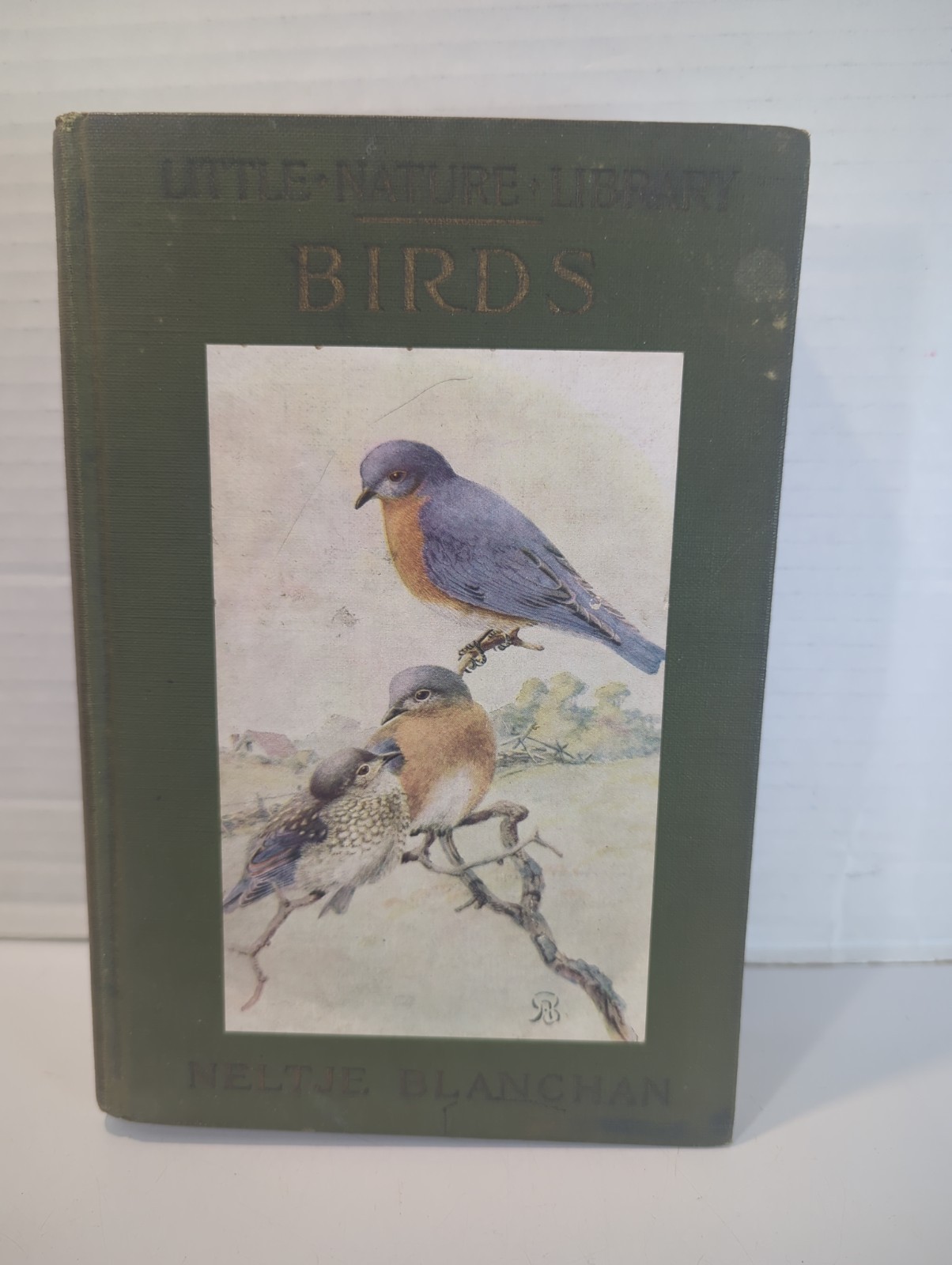 Birds Worth Knowing Little Nature Library by Neltje Blanchan 1925 Antique HC Vtg