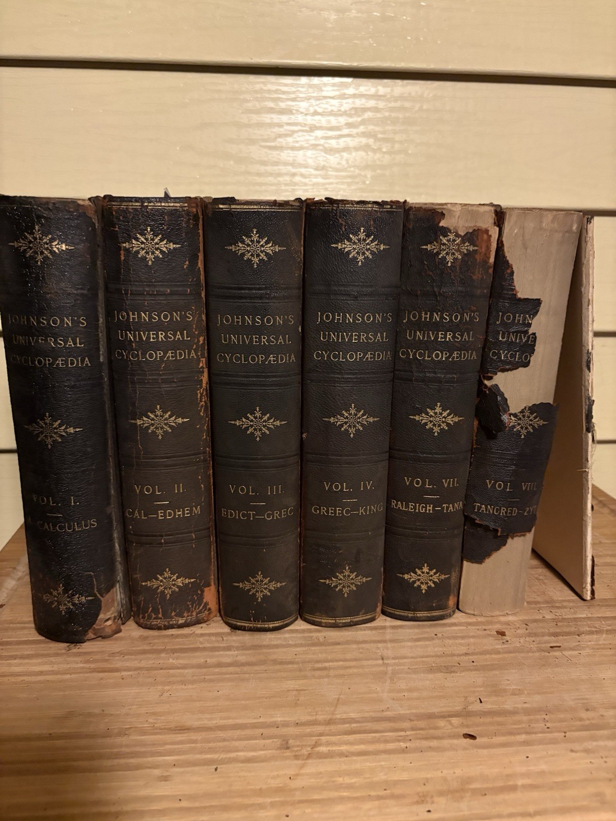 1880s Johnson’s Universal Cyclopaedia Antique Leather Bound Books Partial Set