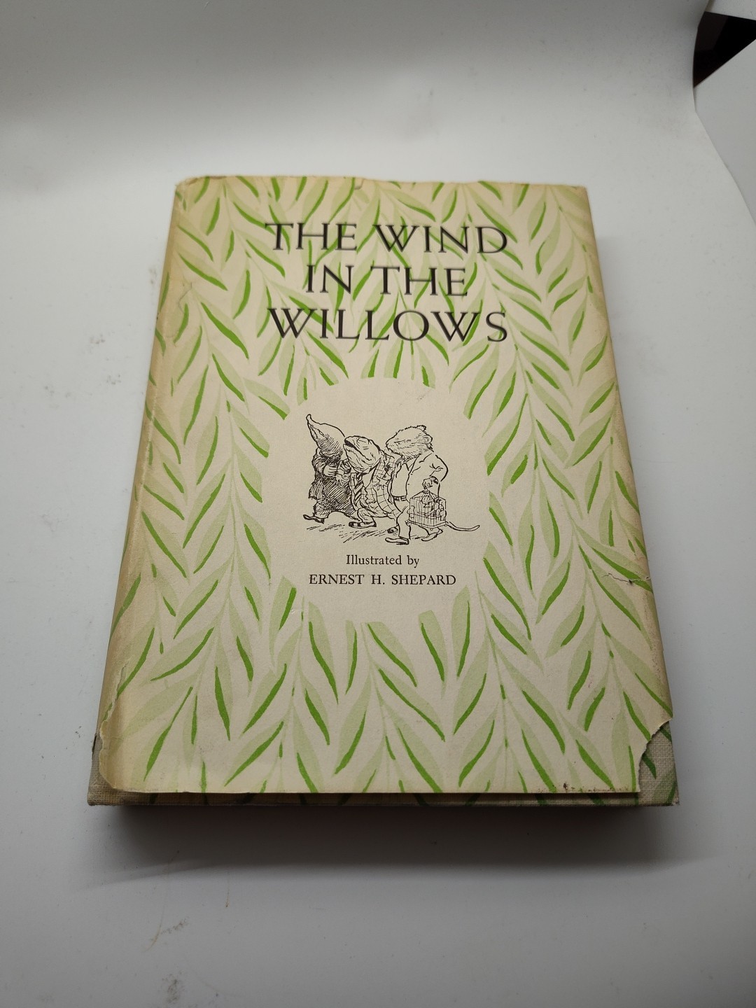 Kenneth Grahame Wind in the Willows Hardcover w/ Dust Jacket 1965