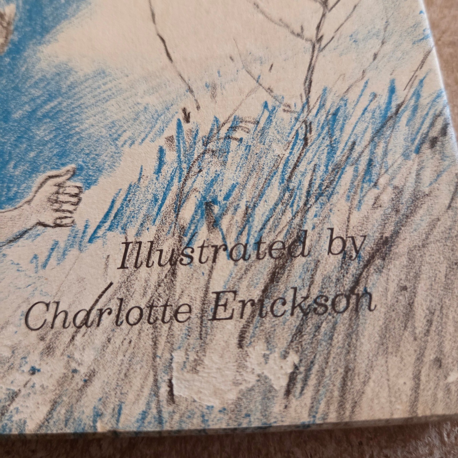 Viking Press Timothy’s Hawk Edith Brecht Childrens Book 1966 Blue White Vintage