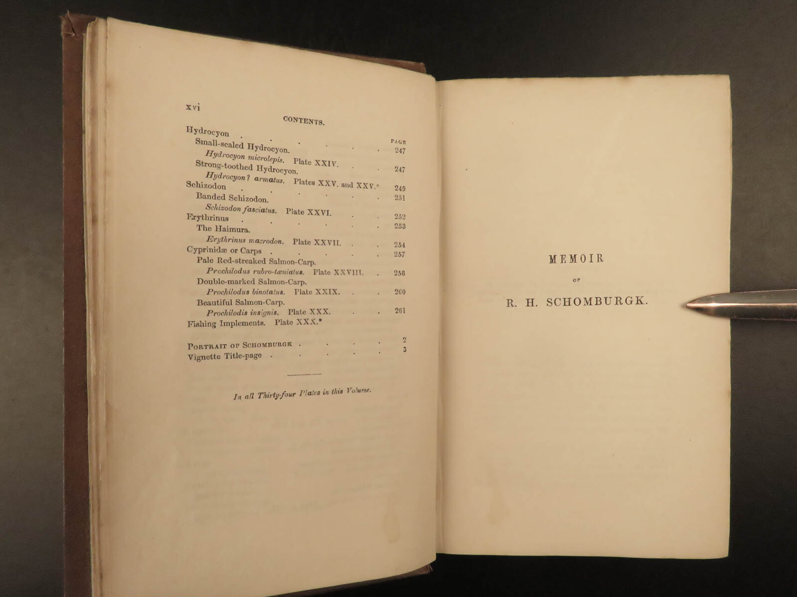 1841 Jardine Naturalist FISH Piranha Salmon Carp Dorsa Ichthyology Africa Guiana