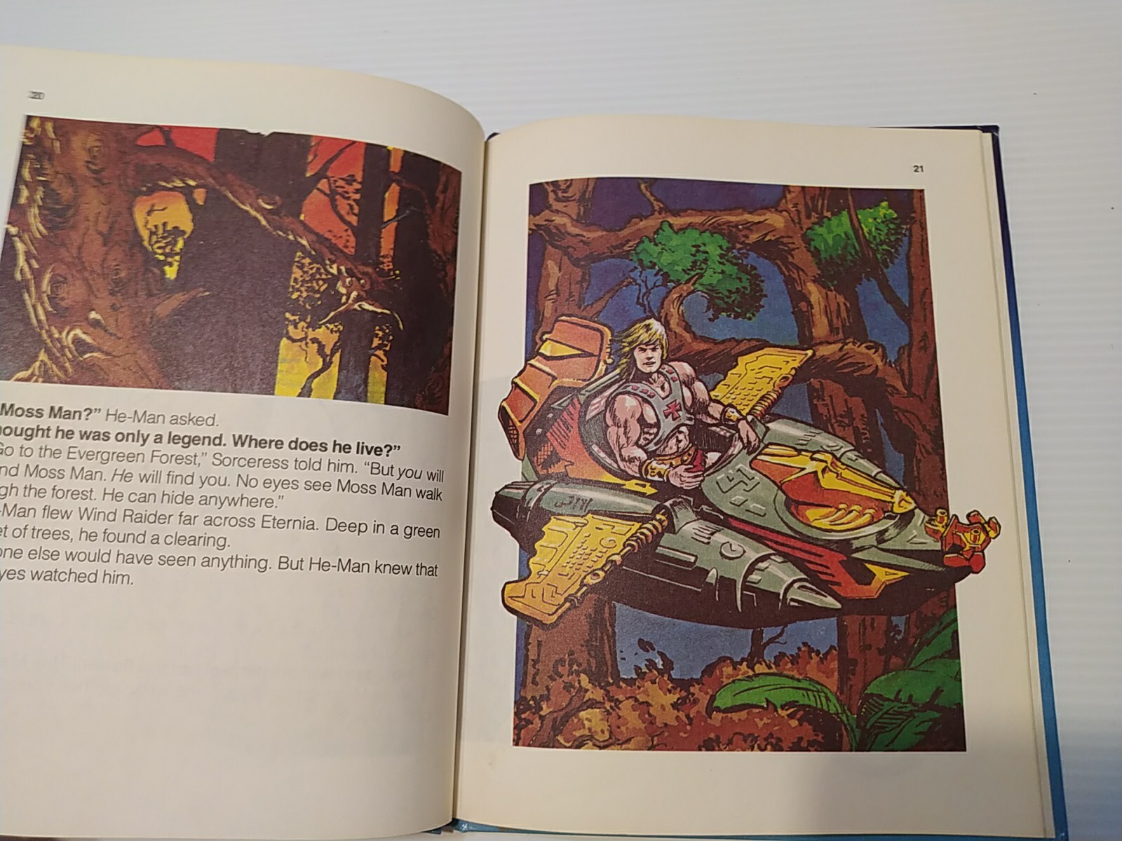 Vintage 80’s Masters of The Universe Skeletor’s Flower of Power 1985 Golden Book