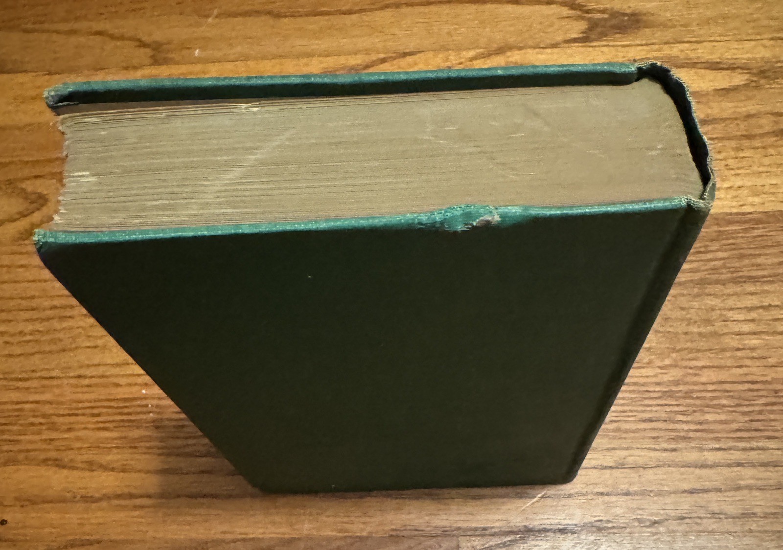 Signed 1928 True First Edition LOUIS STEVENS ALL THE KING’S HORSES