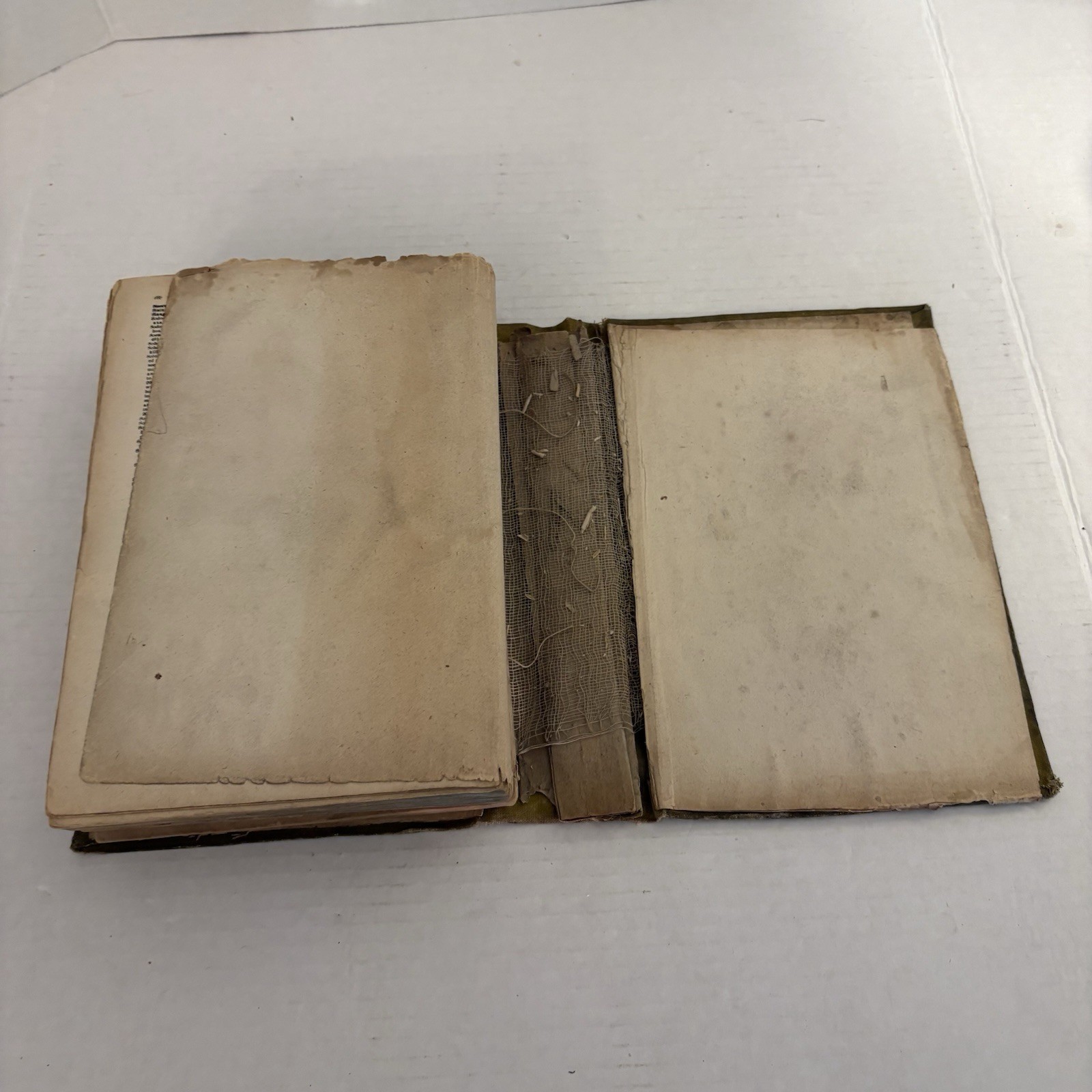 The Complete Works of Flavius-Josephus the Celebrated Jewish Historian. EST 1901