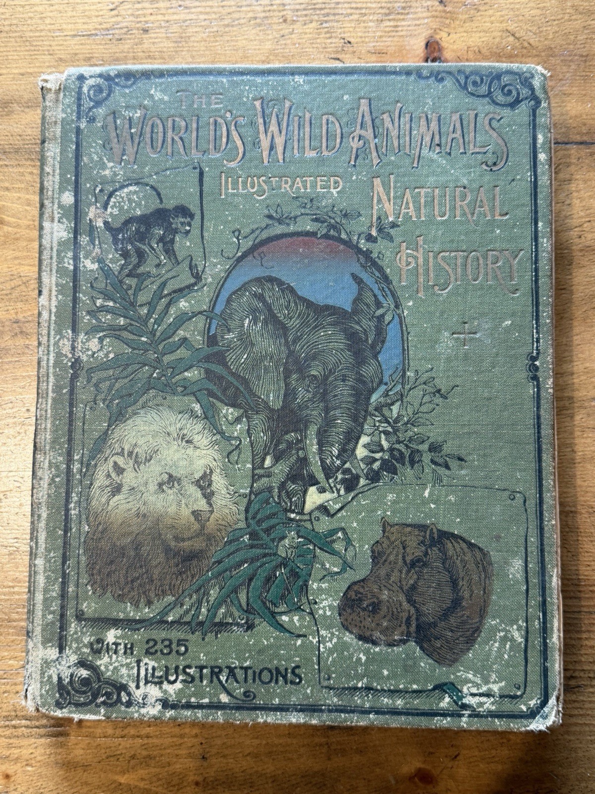 1901 World’s Wild Animals by W. A. Foster Large-Format Book with 235
