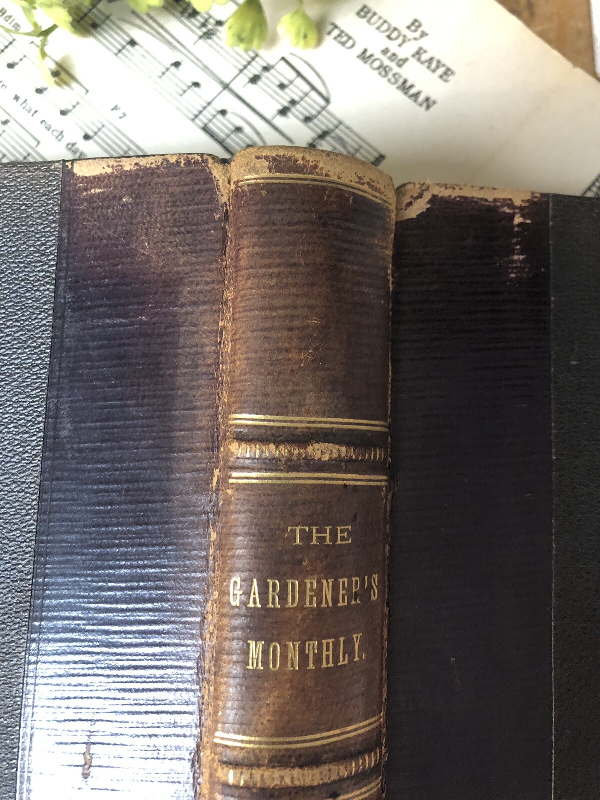 1880s Garden Book Half Leather Antique Illustrated Gardeners’ Monthly Victorian