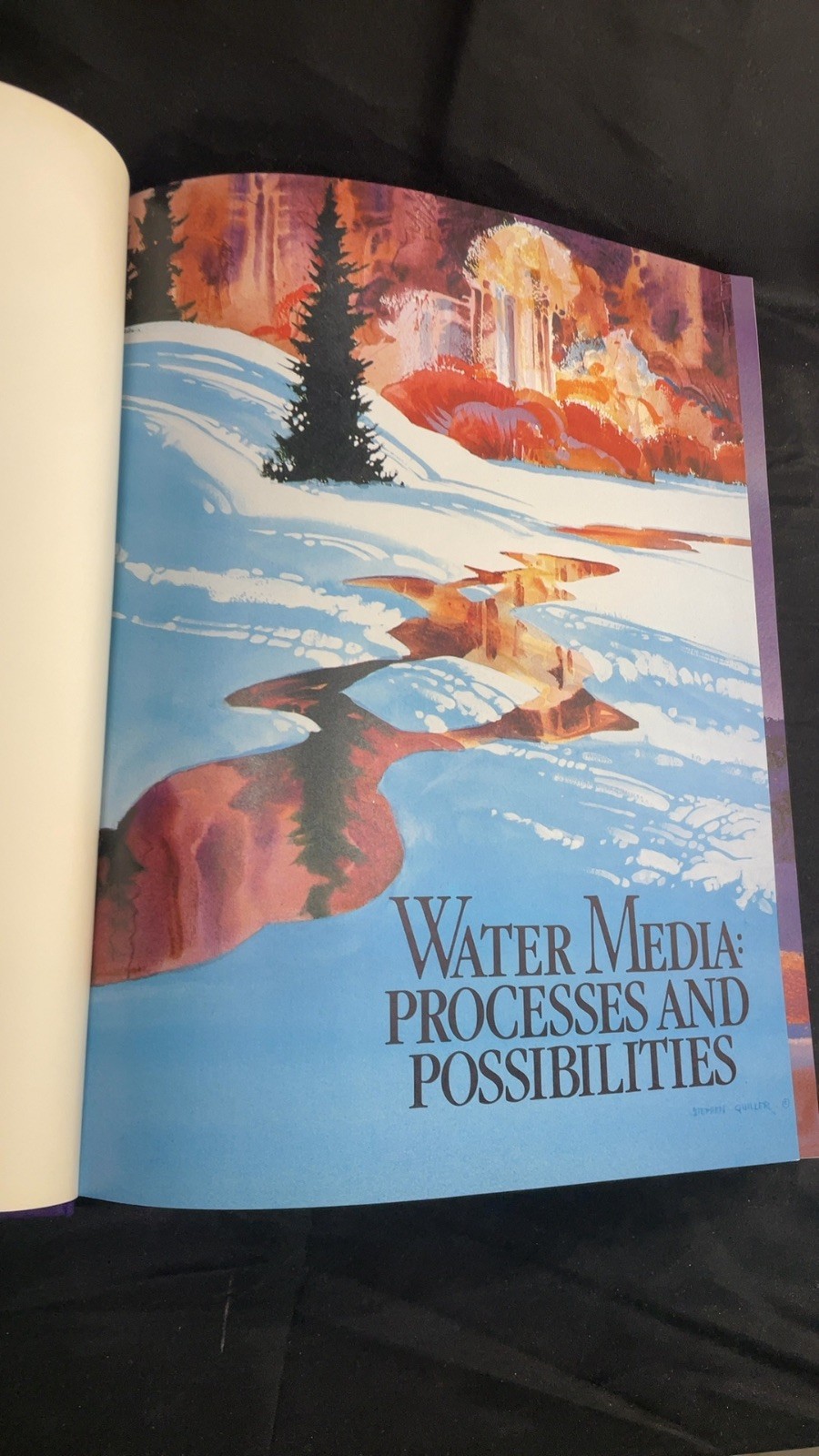 Water Media: Processes and Possibilities Stephen Quiller Hardcover First Edit…