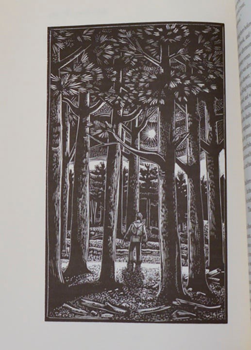 Henry David THOREAU, Michael McCurdy / WALDEN 1st Edition 2004 #209790