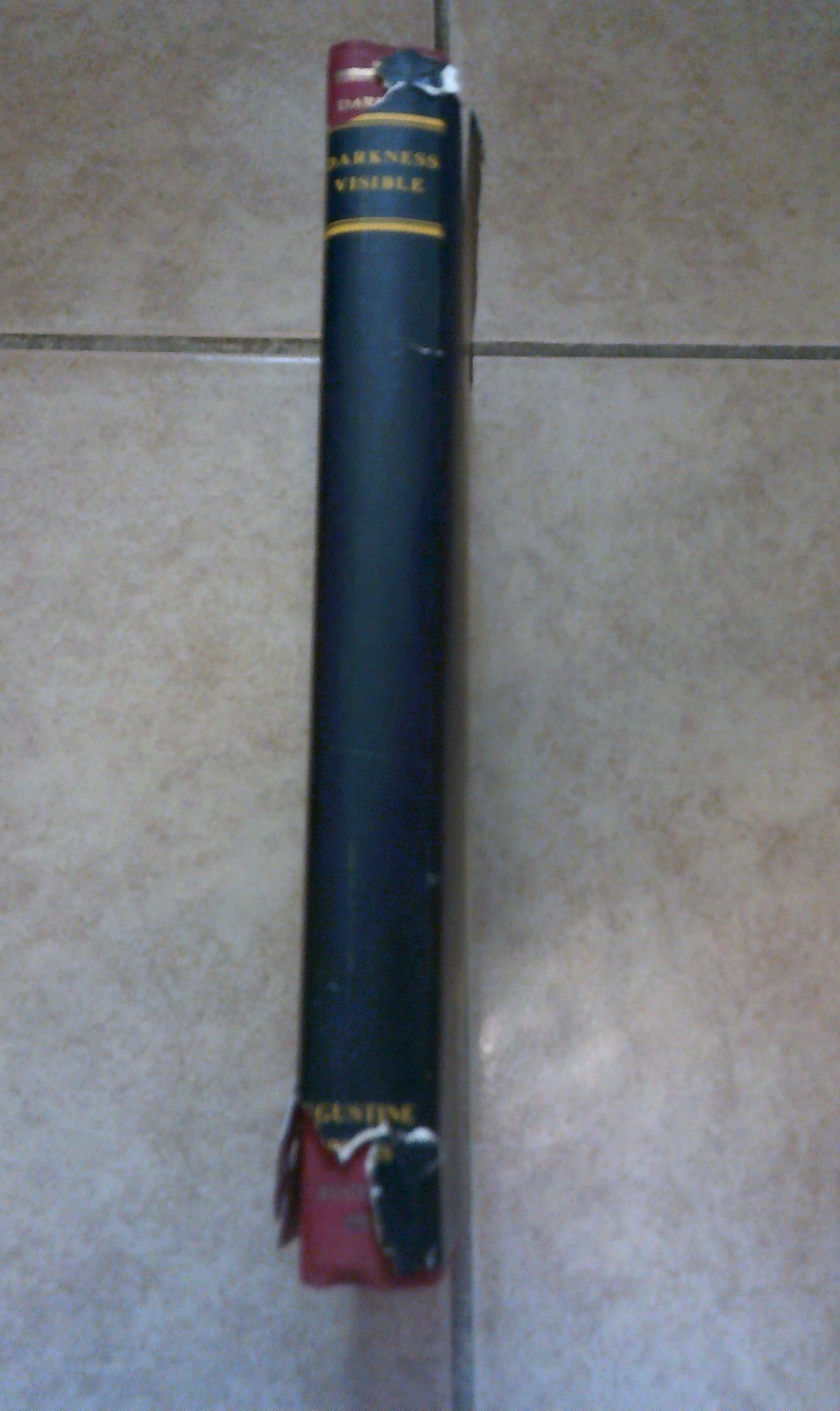 Darkness Visible – Walton Hannah 1954 RARE Freemasonry Augustine Press Book