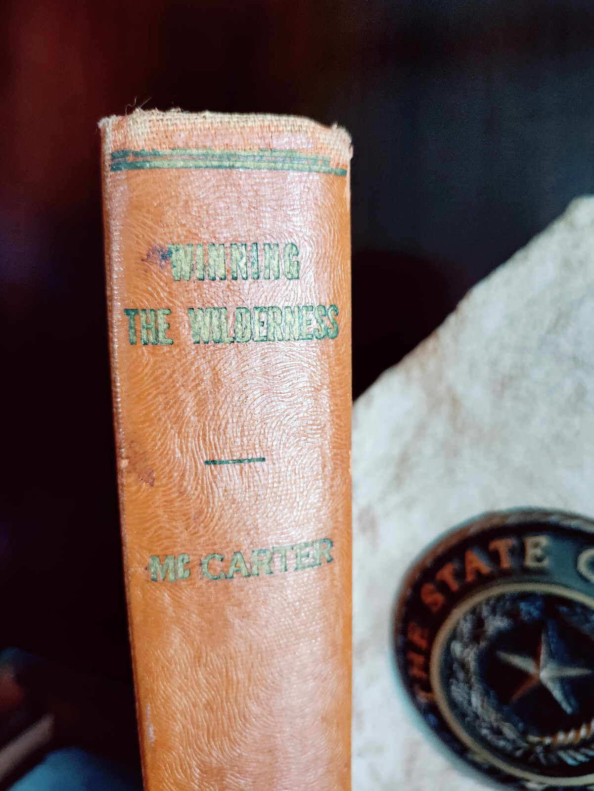 Winning the Wilderness_Margaret Hill McCarter_Hardcover_1914_Ex-library_VeryGood