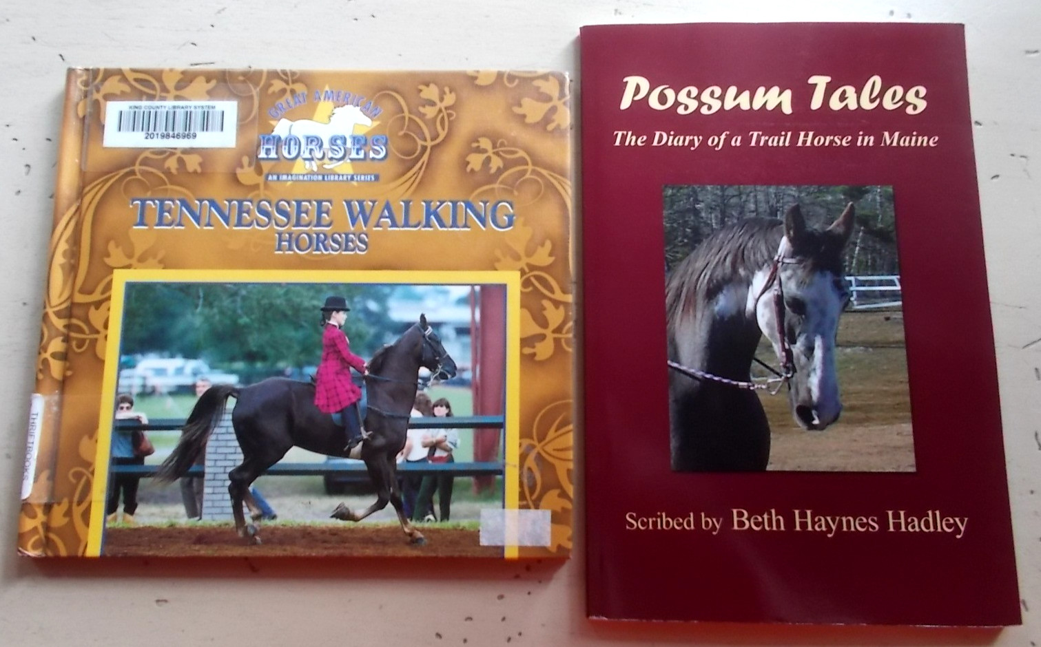 Mixed Lot 13 Collectible Vintage Horse Books Fiction Nonfiction Hard & Paperback