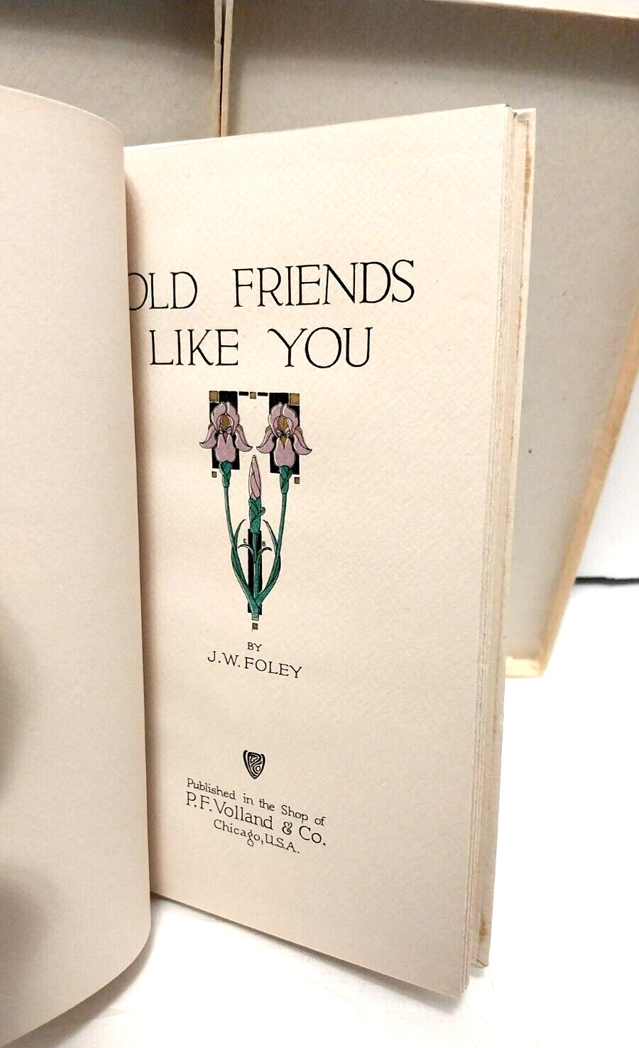 OLD FRIENDS LIKE YOU by J W Foley (1914, Thin Hardcover) In Original Box / Rare!