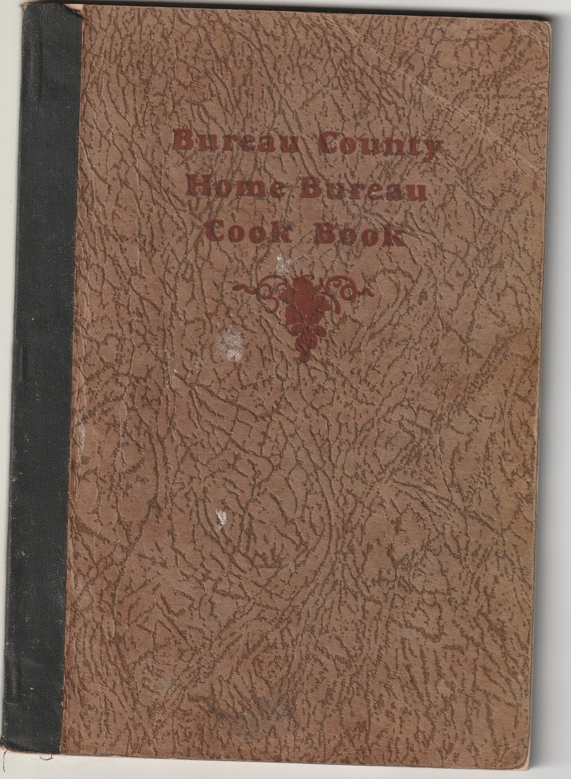 EARLY 1900’S BUREAU COUNTY COOK BOOK – PRINCETON – TISKILWA – OHIO ILLINOIS ADS