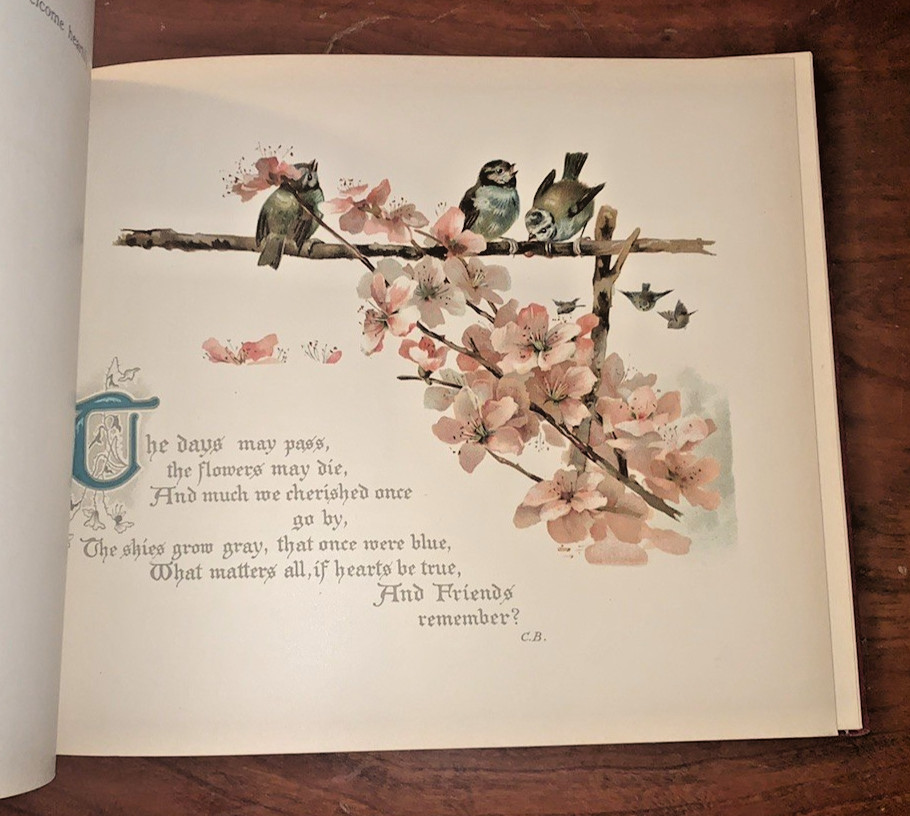 Our Guest Book Ernest Nister E.P. Dutton & Co. Chromolitho Vintage circa 1900