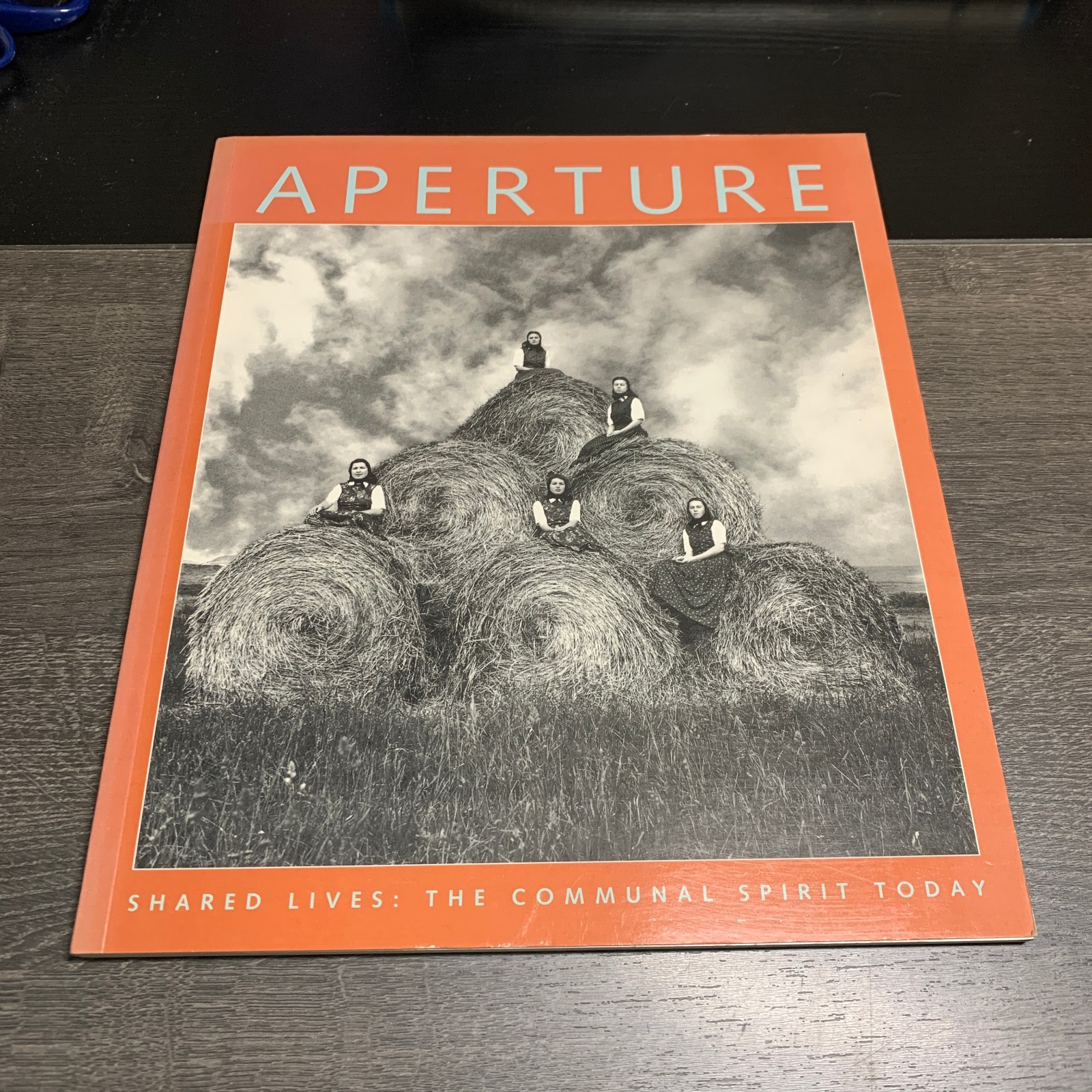 Aperture #144 Summer 1996 Shared Lives Photography Magazine Issue
