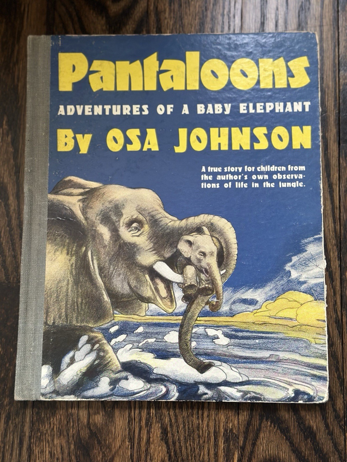 Pantaloons Children’s Book By OSA Johnson