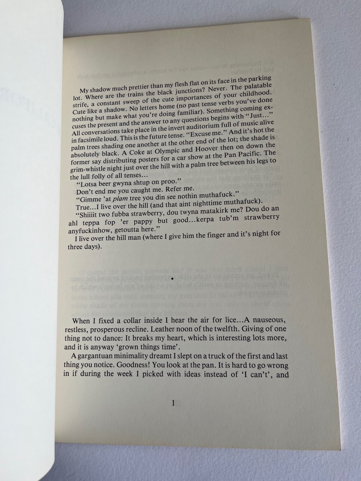 Steve CAREY / The California Papers ~ 1st Edition 1981 New York Ltd 1/750 poetry