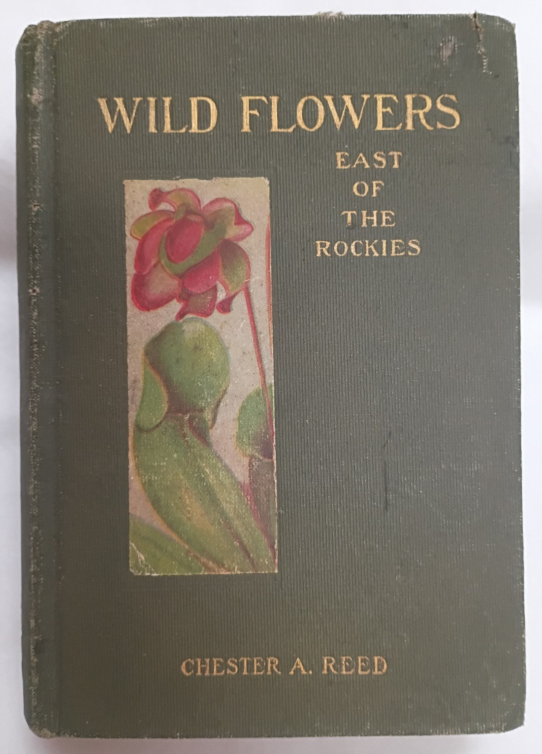 WILD FLOWERS East of the Rockies, hardcover by Chester A. Reed, 1910
