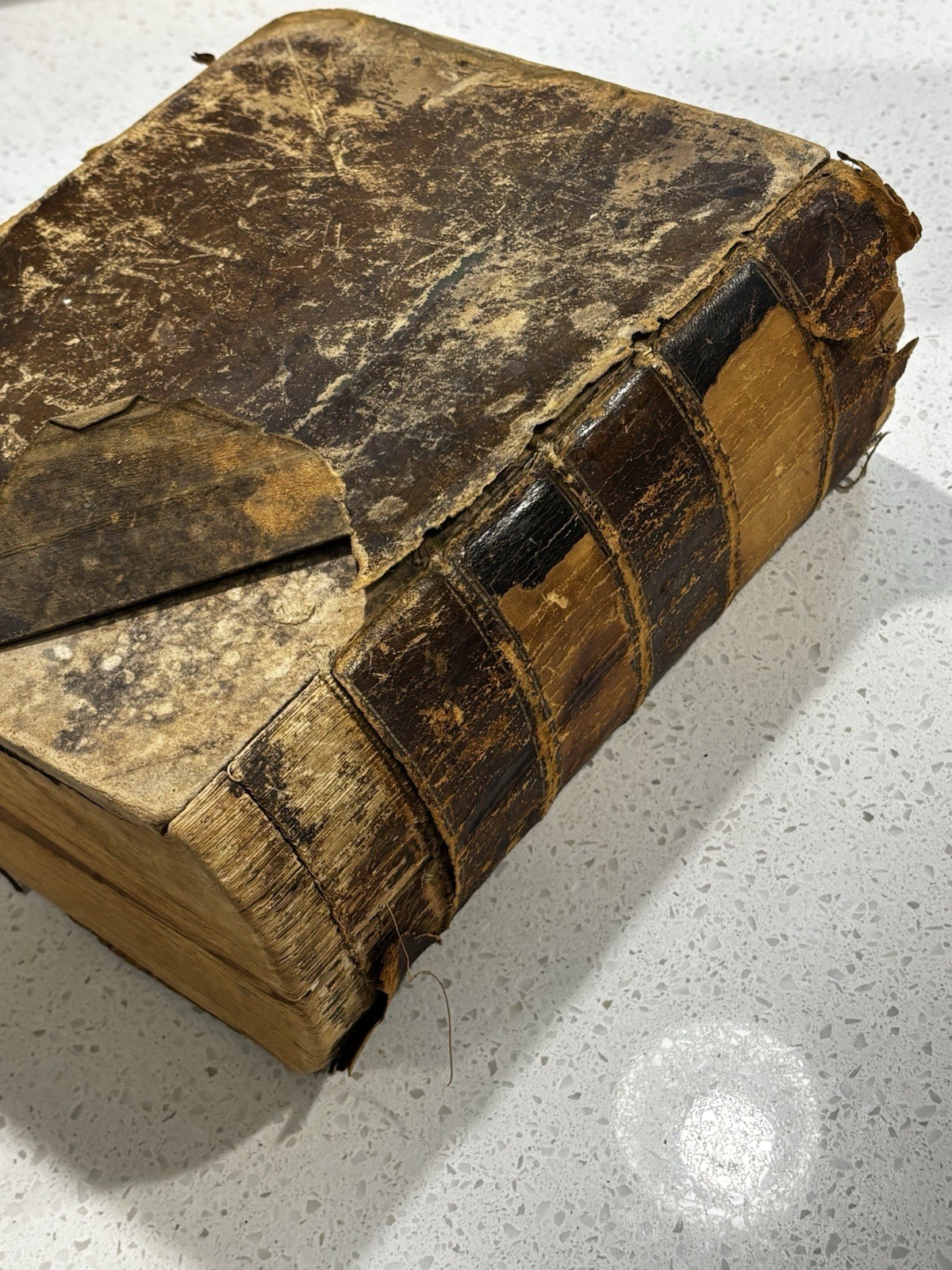Noah Webster Leather Bound Unabridged Dictionary Super Rare Antique 1859