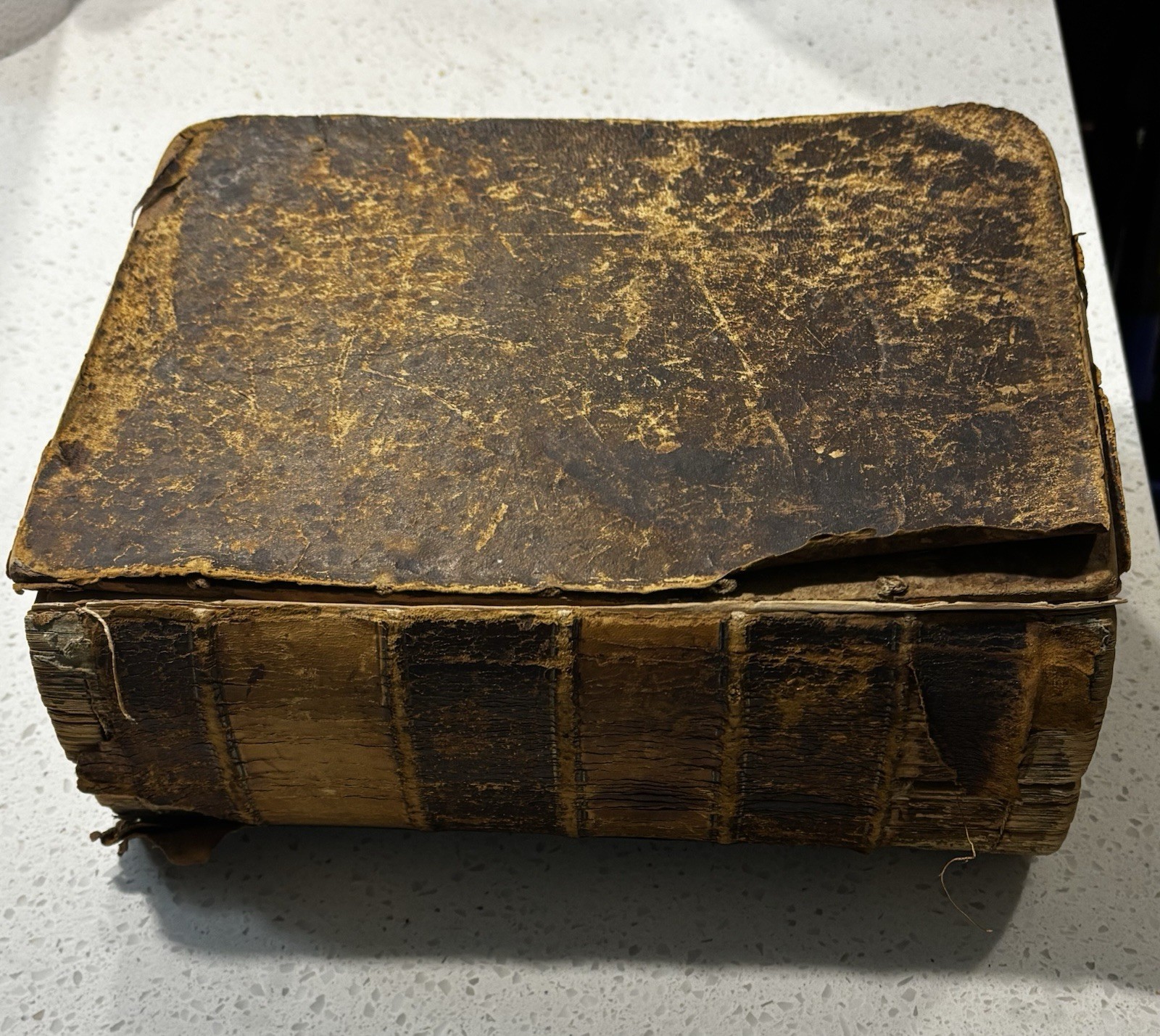 Noah Webster Leather Bound Unabridged Dictionary Super Rare Antique 1859