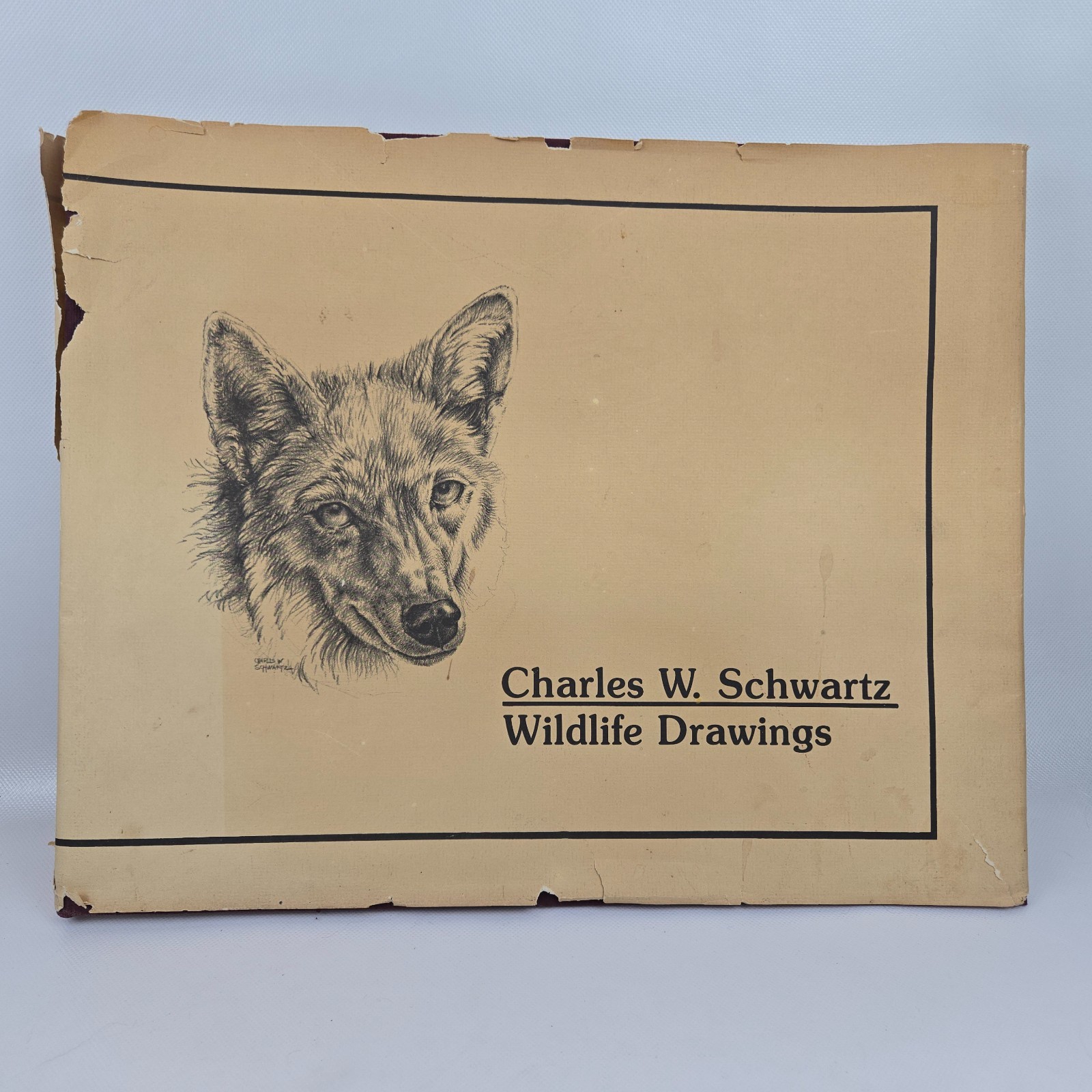 Wildlife Drawings Charles W. Schwartz 1980 First Edition MO Dept of Conservatio