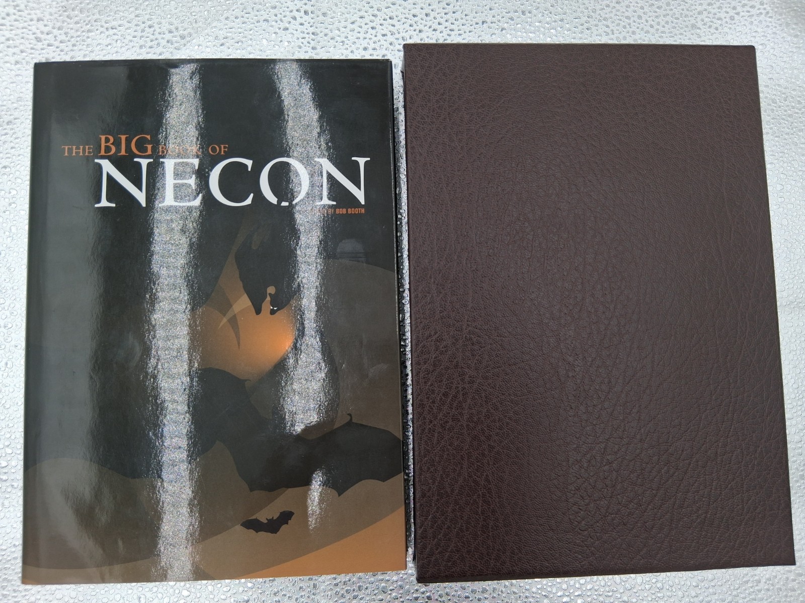 THE BIG BOOK OF NECON Cemetery Dance First Edition Slipcase Signed By Artist