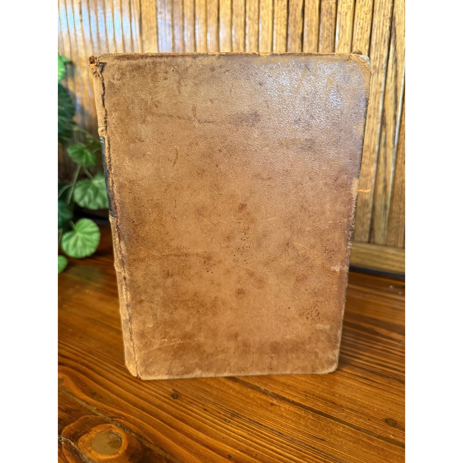 Historical Publishing The World’s Wonders J.W. Buel 1884 Tan Fair Leather Book