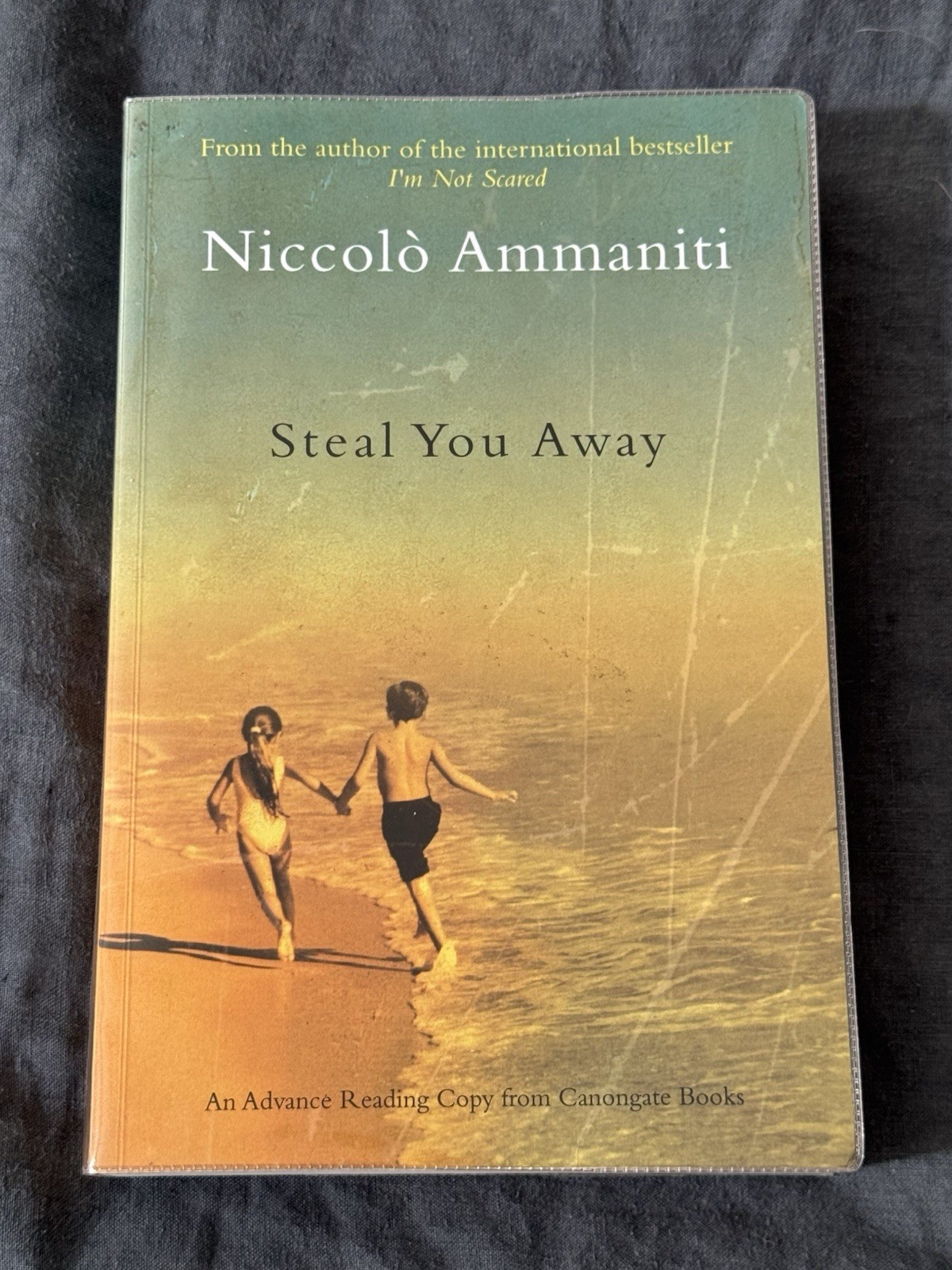 Steal You Away – Niccolo Ammaniti Signed Uncorrected Proof Book