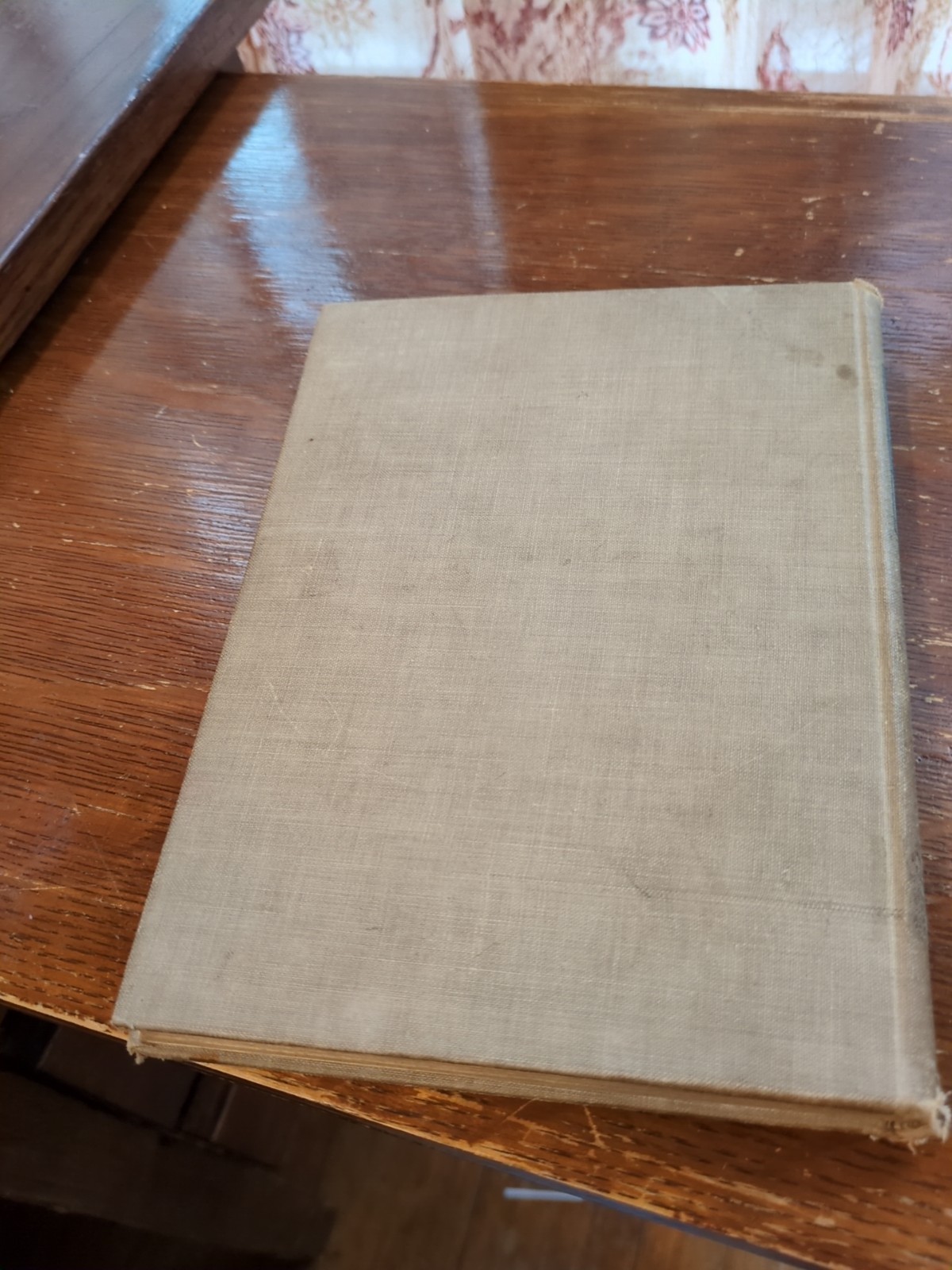 *1900* „WILDERNESS WAYS“ Good Condition By William J Long HC (07)