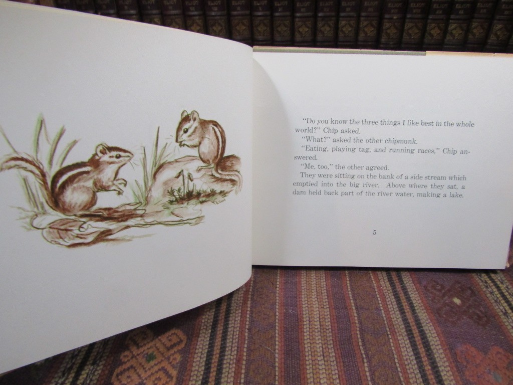 1962 Marsh CHIP THE CHIPMUNK Rare SIGNED 1st Ed. HC/DJ Illustrated Bethany Tudor