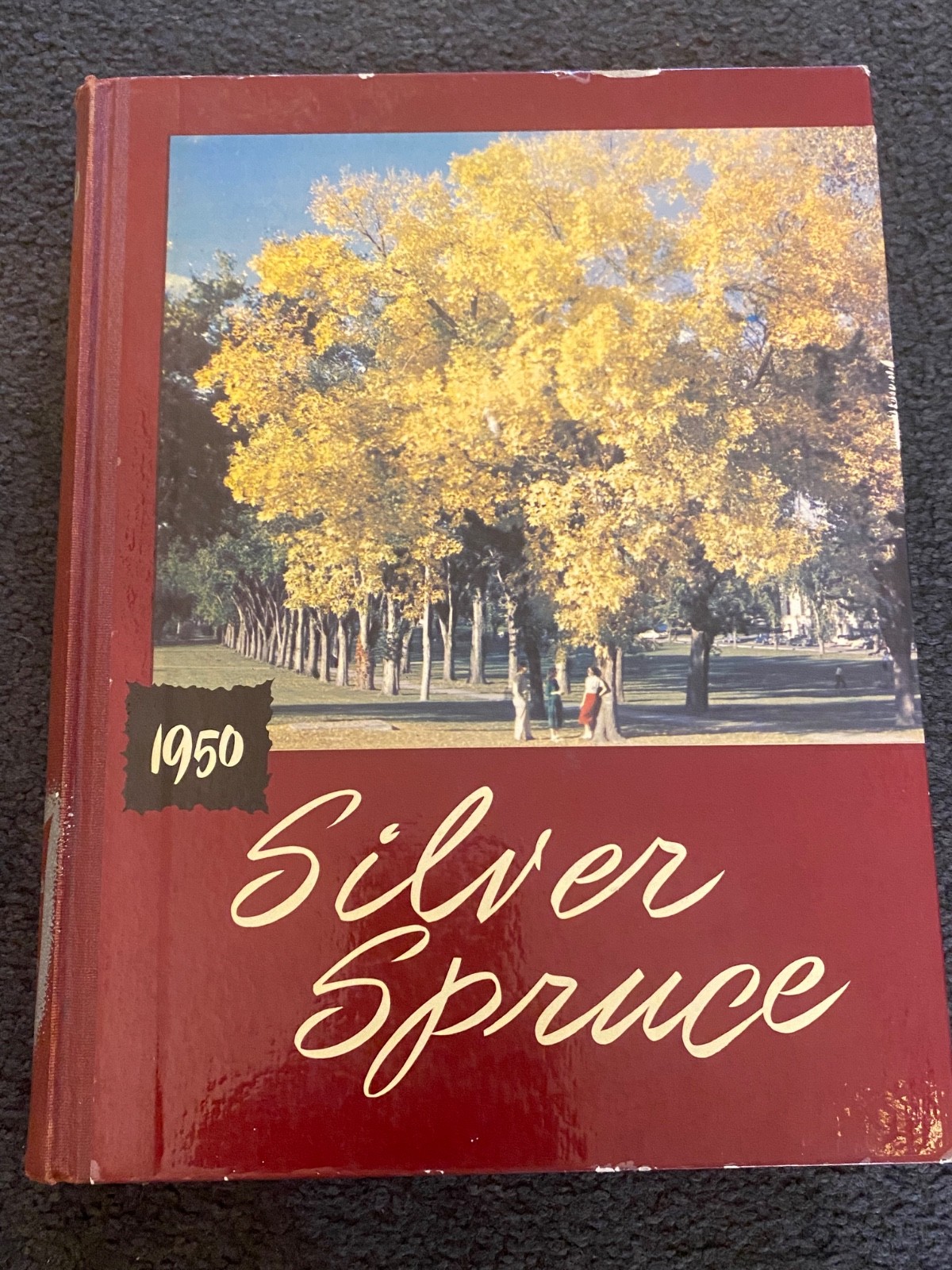 1950 SILVER SPRUCE -yearbook Colorado A&M College Fort Collins