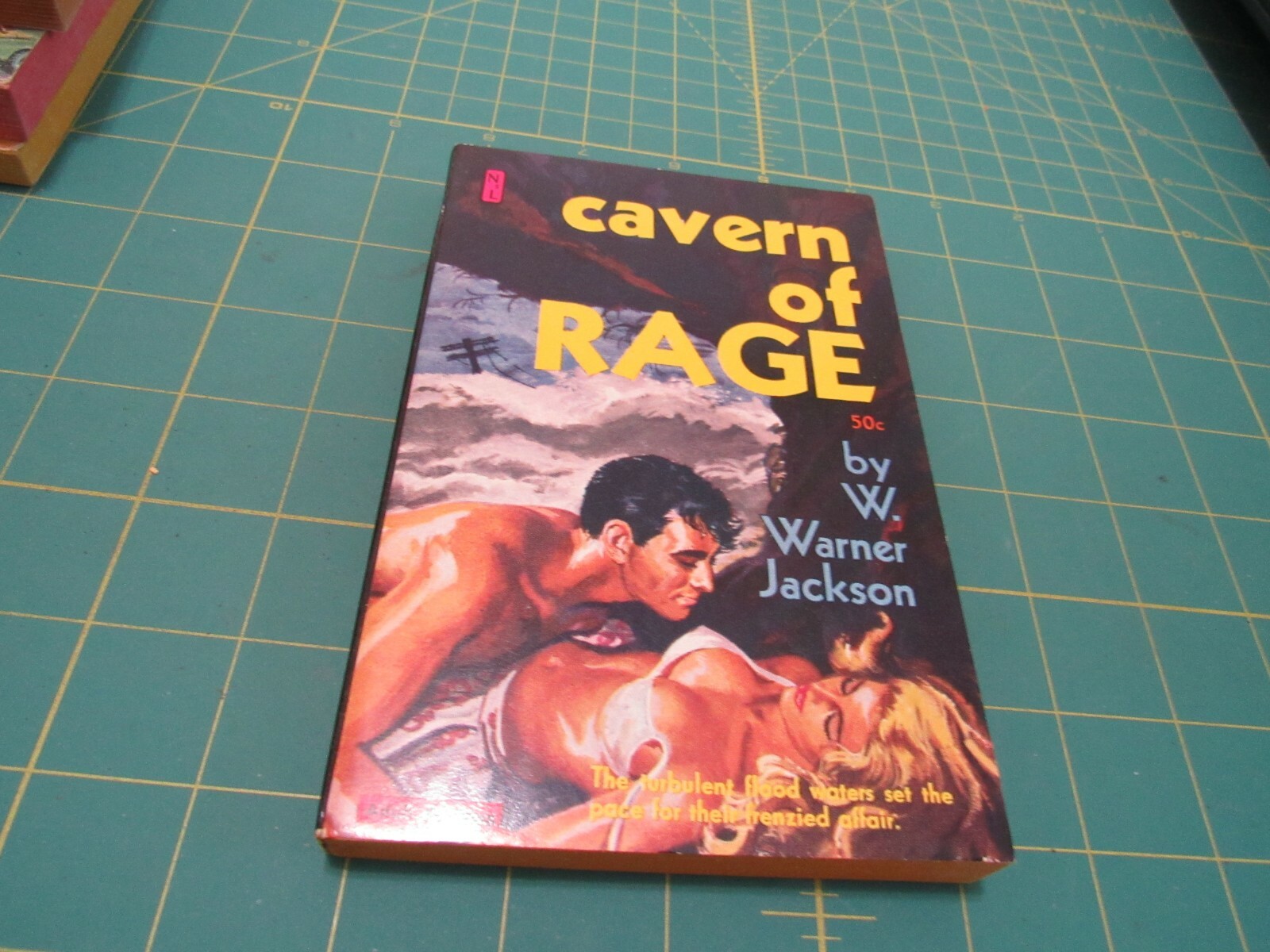 CAVERN OF RAGE BY W. WARNER JACKSON NEWSSTAND LIBRARY PULP SLEAZE GGA COVER