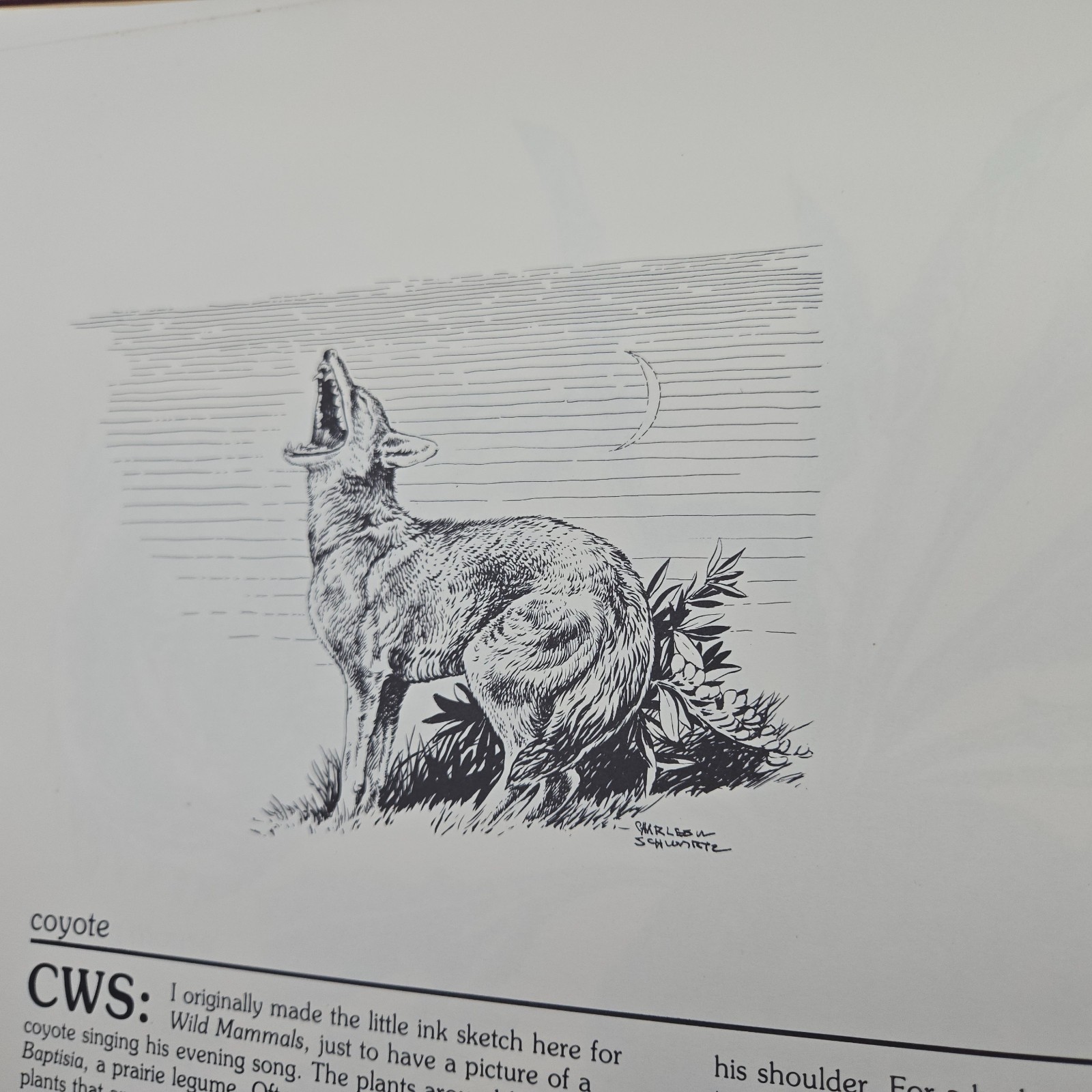 Wildlife Drawings Charles W. Schwartz 1980 First Edition MO Dept of Conservatio