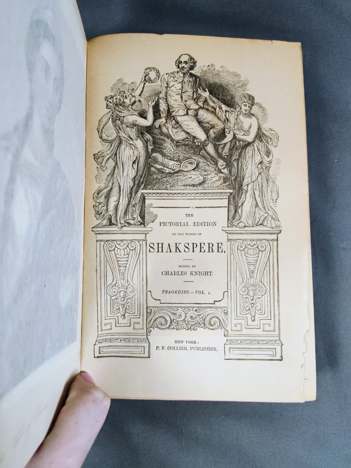 1890s Pictorial Edition Works of Shakspere Antique Shakespeare Set Complete 8