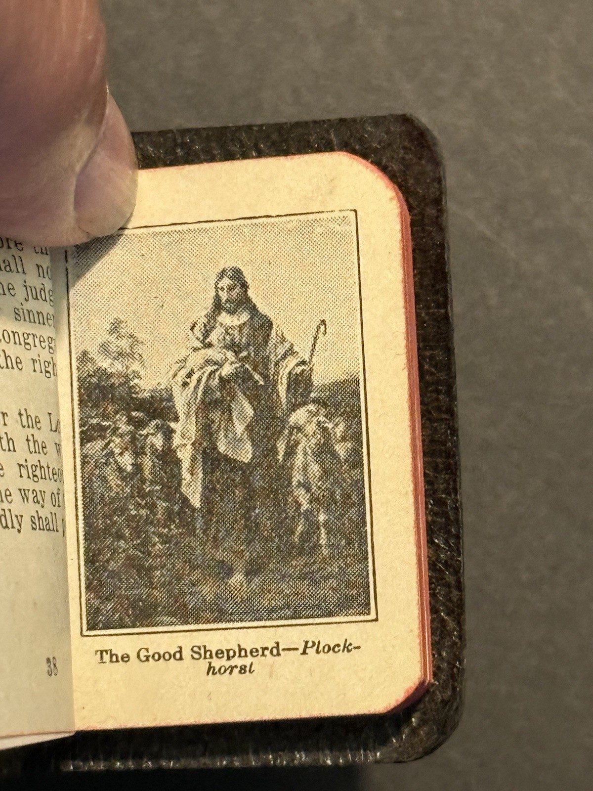 The Little Bible Miniature 2 1/8 x 1 3/4″